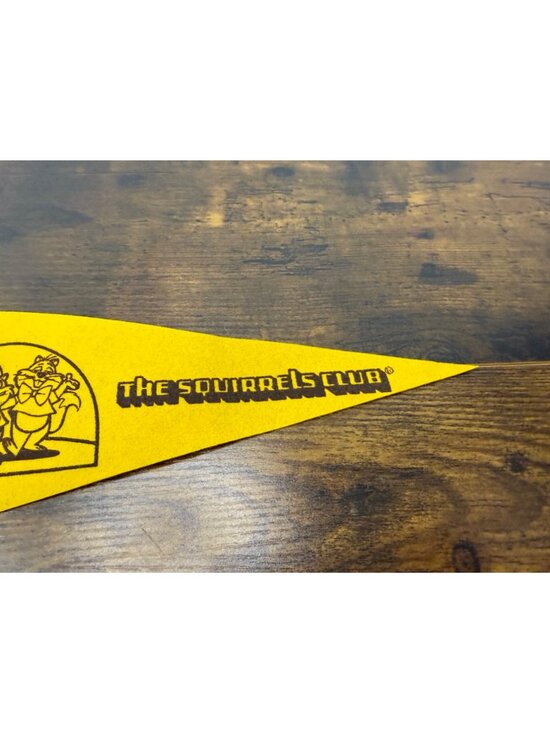 Pennants, Flags & Pennants, Historical Memorabilia  Vintage Felt Pennant With \